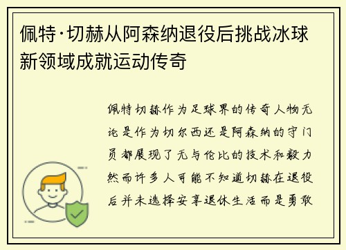 佩特·切赫从阿森纳退役后挑战冰球新领域成就运动传奇 佩特·切赫从阿森纳退役后挑战冰球新领域成就运动传奇
